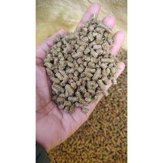 small pet food◙✘﹊Timothy based pellets for rabbits (BX Rabbit Diet Pellets)