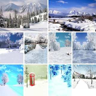 Winter View Snow White Tree Background Cloth Studio Photography Backdrop
