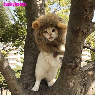 [[Luckybabys]] Pet Dog Hat Costume Lion Mane Wig For Cat Halloween Dress Up With Ears