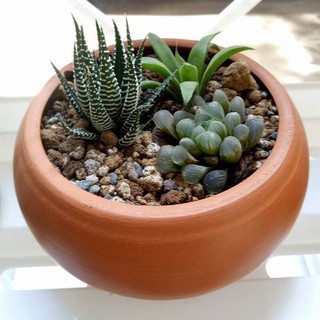 KrigKrafts Terracotta Clay Garden Pot for Succulent Cactus Plant