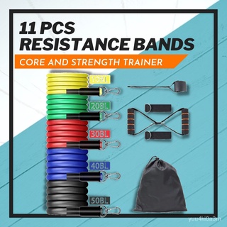 EXCEED 11pcs Resistance Bands Set-for Resistance Training, physical Therapy, home Gyms workout and Y