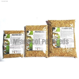 cat treatsfood snack▬☽Cat grass seeds pack (1)