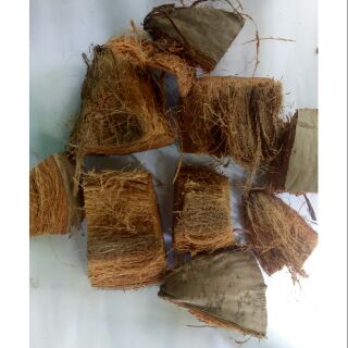 Coco Chops, Coco husk or Bunot (approx 18pcs / 500 grams)