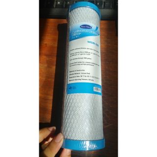 Activated carbon filter 10" x 2.5