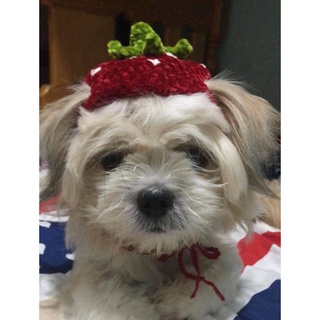 Strawberry Hat for dogs and cats || Crochet || Handmade || PM for measurements (1)