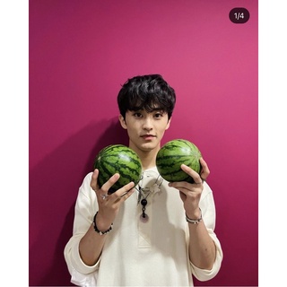 Mark's watermelon (PRE-ORDER)