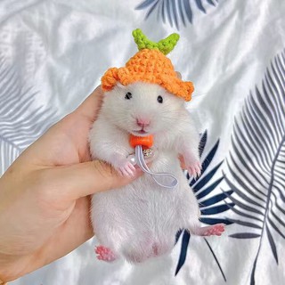 Petown Gold Bear Hamster Hat Crochet Happiness Custom Pet Pet Pepper Bear Small Hat Bag (6)