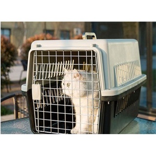 【Ready Stock】♗◐✠Pet carrier travel cage dog cat crates airline approved