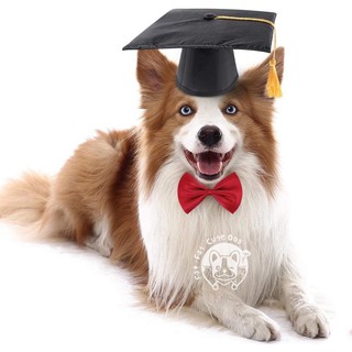 【Ready Stock】♞♘▥Pet Graduation Hat Sets Dogs Cats Costume Accessory
