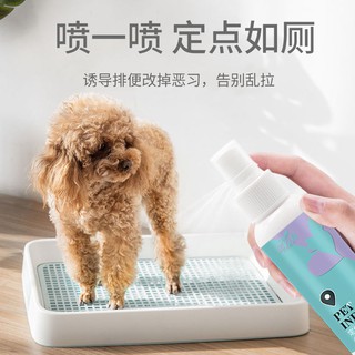 ✹【Package Church】Dog toilet inducer urine positioning and defecation training agent liquid for pe (5)